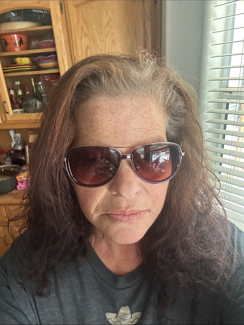 Women's Brown Gradient Lens Sunglasses - Classic Oversized Style
